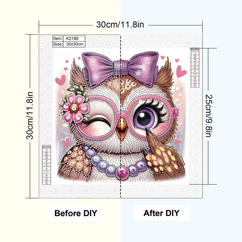 Cartoon Owl - Special Shaped Drill Diamond Painting 30*30CM