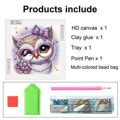 Cartoon Owl - Special Shaped Drill Diamond Painting 30*30CM
