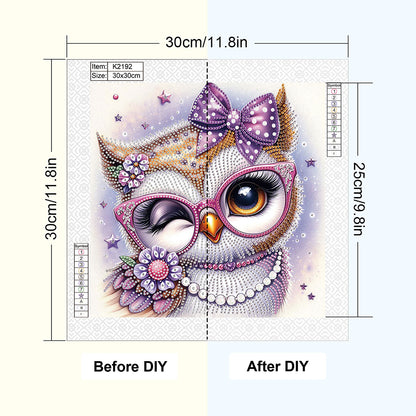 Cartoon Owl - Special Shaped Drill Diamond Painting 30*30CM