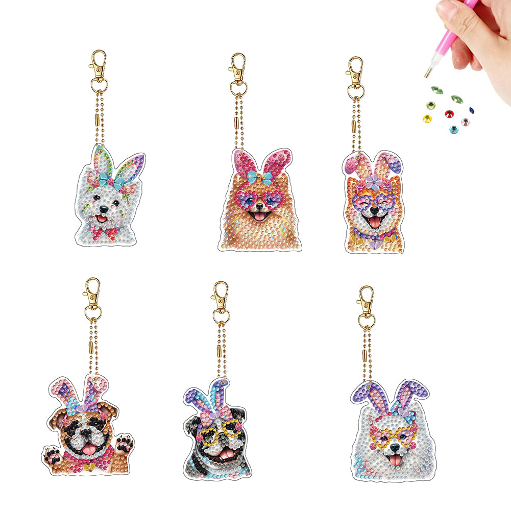 6Pcs Double Sided Special Shaped Beautiful Pattern Full Drill Keyring for Adults