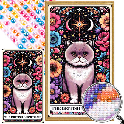 British Shorthair Cat - Full AB Round Drill Diamond Painting 40*70CM