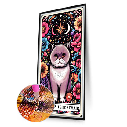 British Shorthair Cat - Full AB Round Drill Diamond Painting 40*70CM
