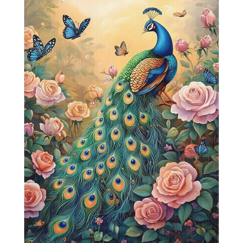 Peacock - 11CT Stamped Cross Stitch 40*50CM