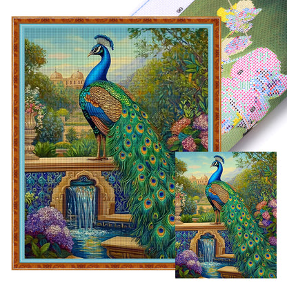 Peacock - 11CT Stamped Cross Stitch 40*50CM