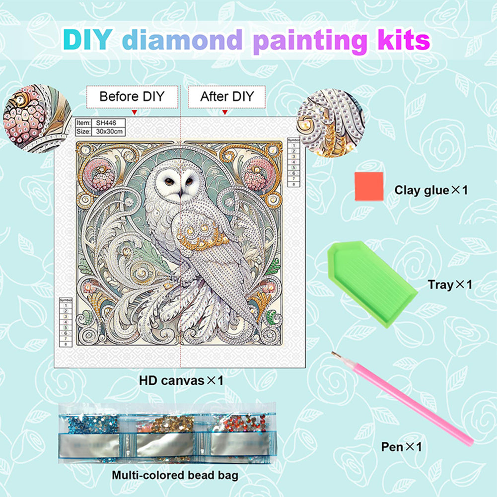 Owl - Special Shaped Drill Diamond Painting 30*30CM