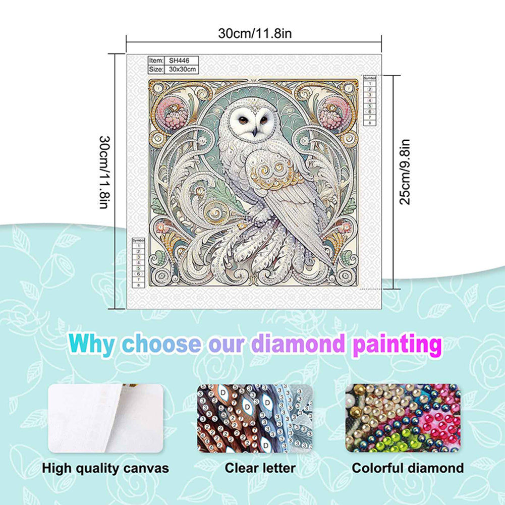 Owl - Special Shaped Drill Diamond Painting 30*30CM
