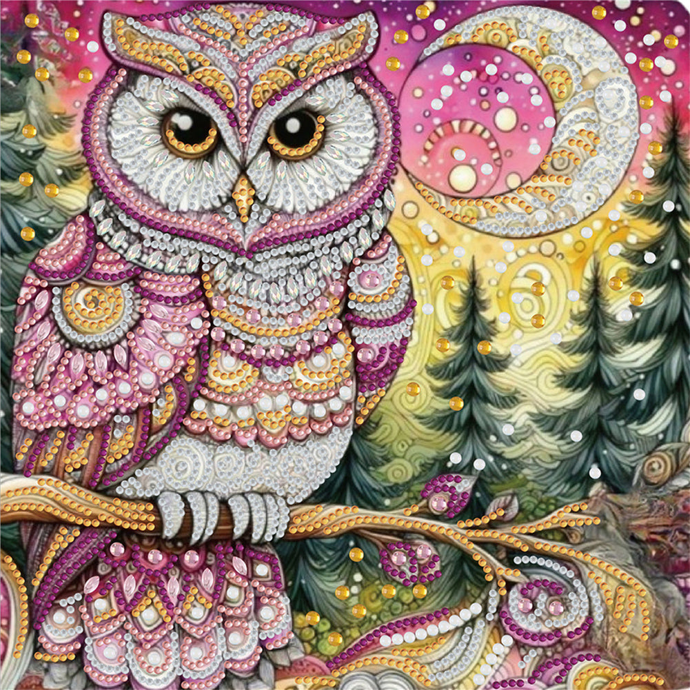 Owl - Special Shaped Drill Diamond Painting 30*30CM