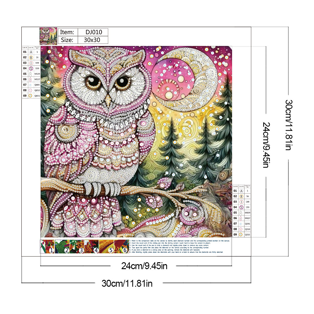 Owl - Special Shaped Drill Diamond Painting 30*30CM
