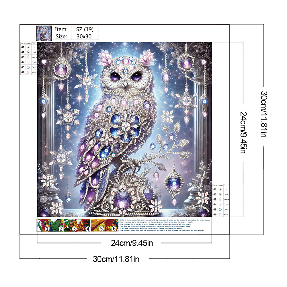 Owl - Special Shaped Drill Diamond Painting 30*30CM