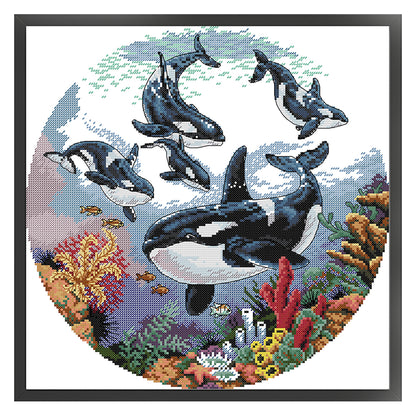 Killer Whale - 14CT Stamped Cross Stitch 38*38CM (Joy Sunday)