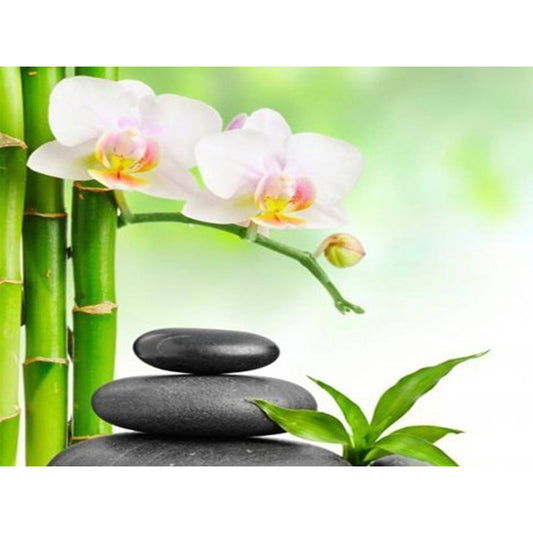 Stone Phalaenopsis Zen - Full Round Drill Diamond Painting 40*30CM