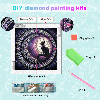 Black Cat - Special Shaped Drill Diamond Painting 30*30CM