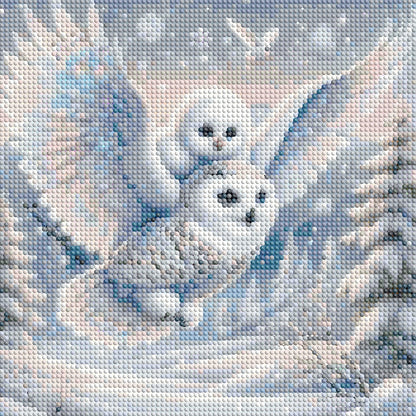 White-Headed Owl - Full Round Drill Diamond Painting 30*30CM