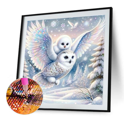 White-Headed Owl - Full Round Drill Diamond Painting 30*30CM