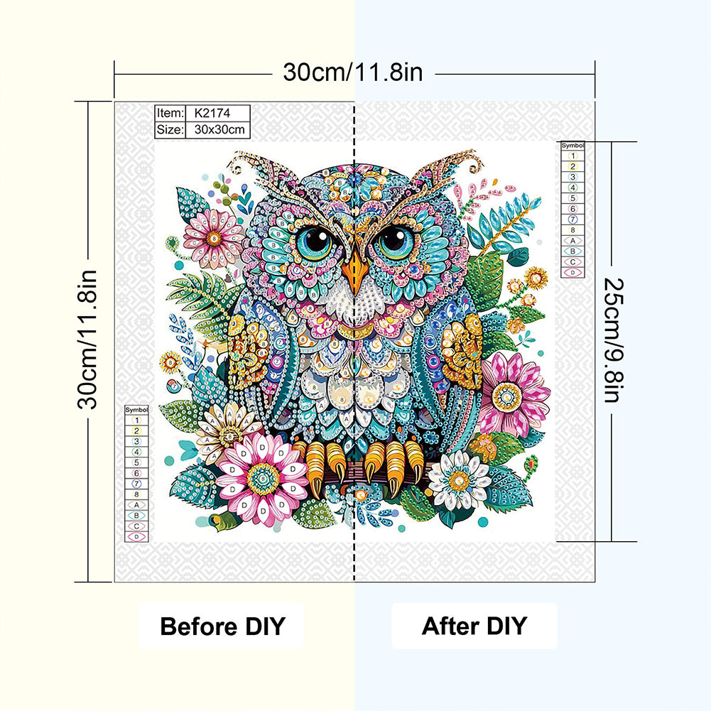 Owl - Special Shaped Drill Diamond Painting 30*30CM