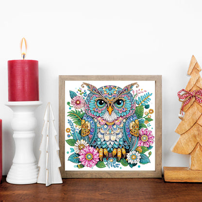 Owl - Special Shaped Drill Diamond Painting 30*30CM