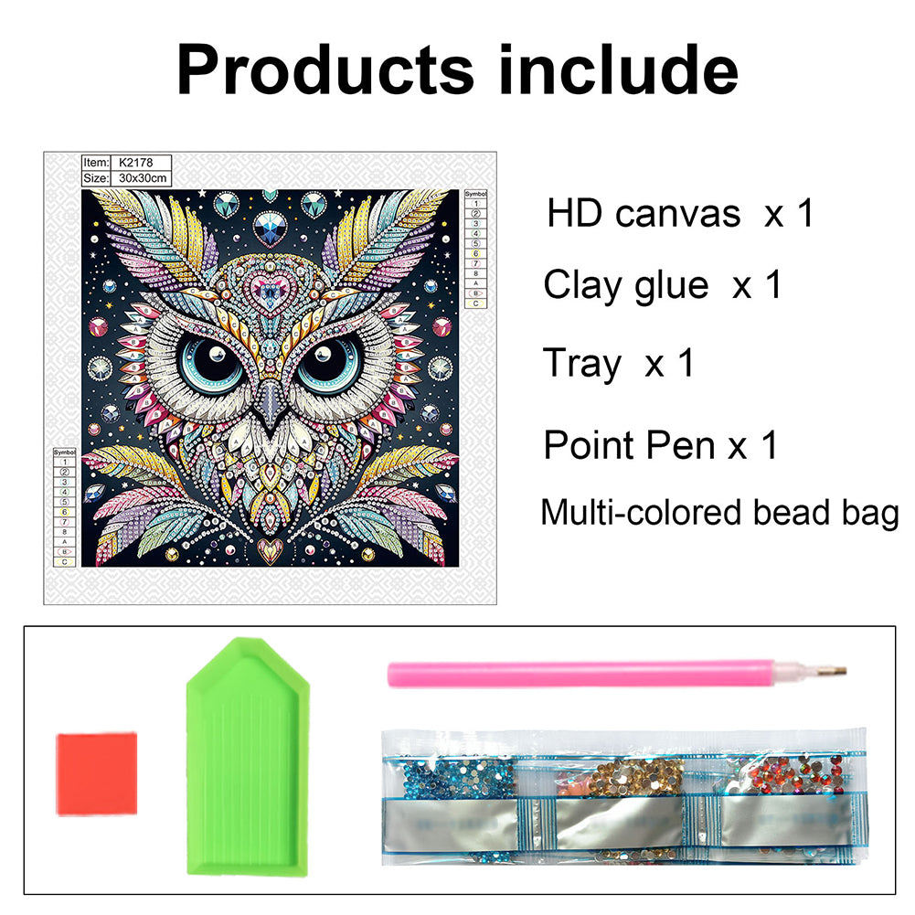 Owl - Special Shaped Drill Diamond Painting 30*30CM
