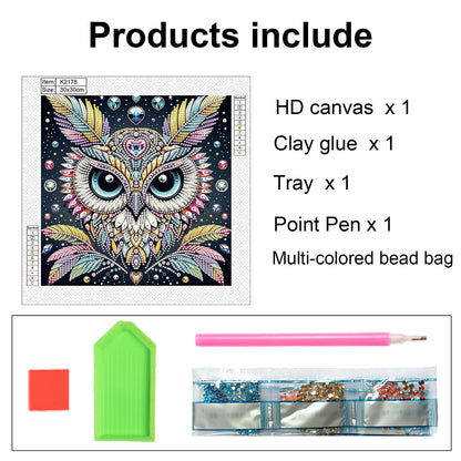Owl - Special Shaped Drill Diamond Painting 30*30CM