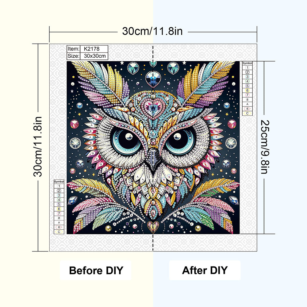 Owl - Special Shaped Drill Diamond Painting 30*30CM