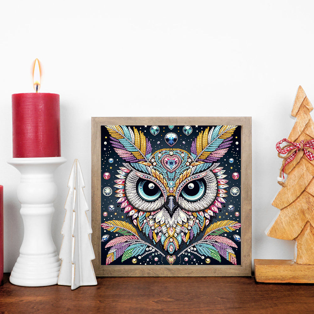 Owl - Special Shaped Drill Diamond Painting 30*30CM