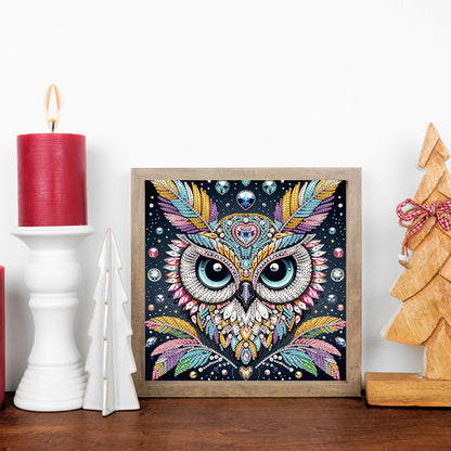 Owl - Special Shaped Drill Diamond Painting 30*30CM