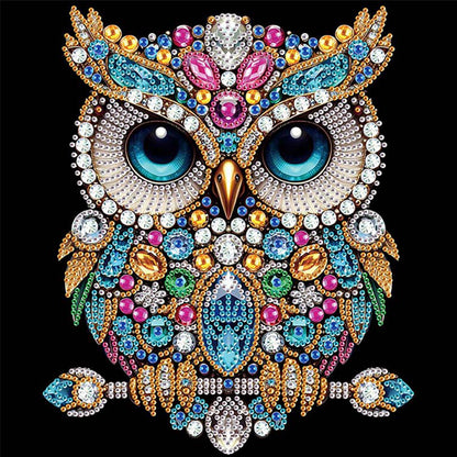 Owl - Special Shaped Drill Diamond Painting 30*30CM