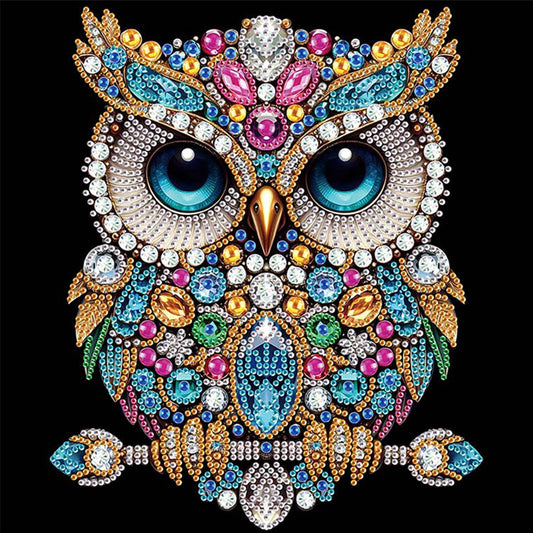Owl - Special Shaped Drill Diamond Painting 30*30CM