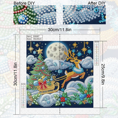 Christmas Sleigh - Special Shaped Drill Diamond Painting 30*30CM