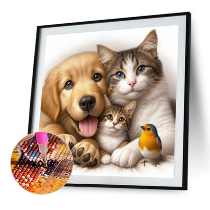Dog And Cat - Full Round Drill Diamond Painting 40*40CM