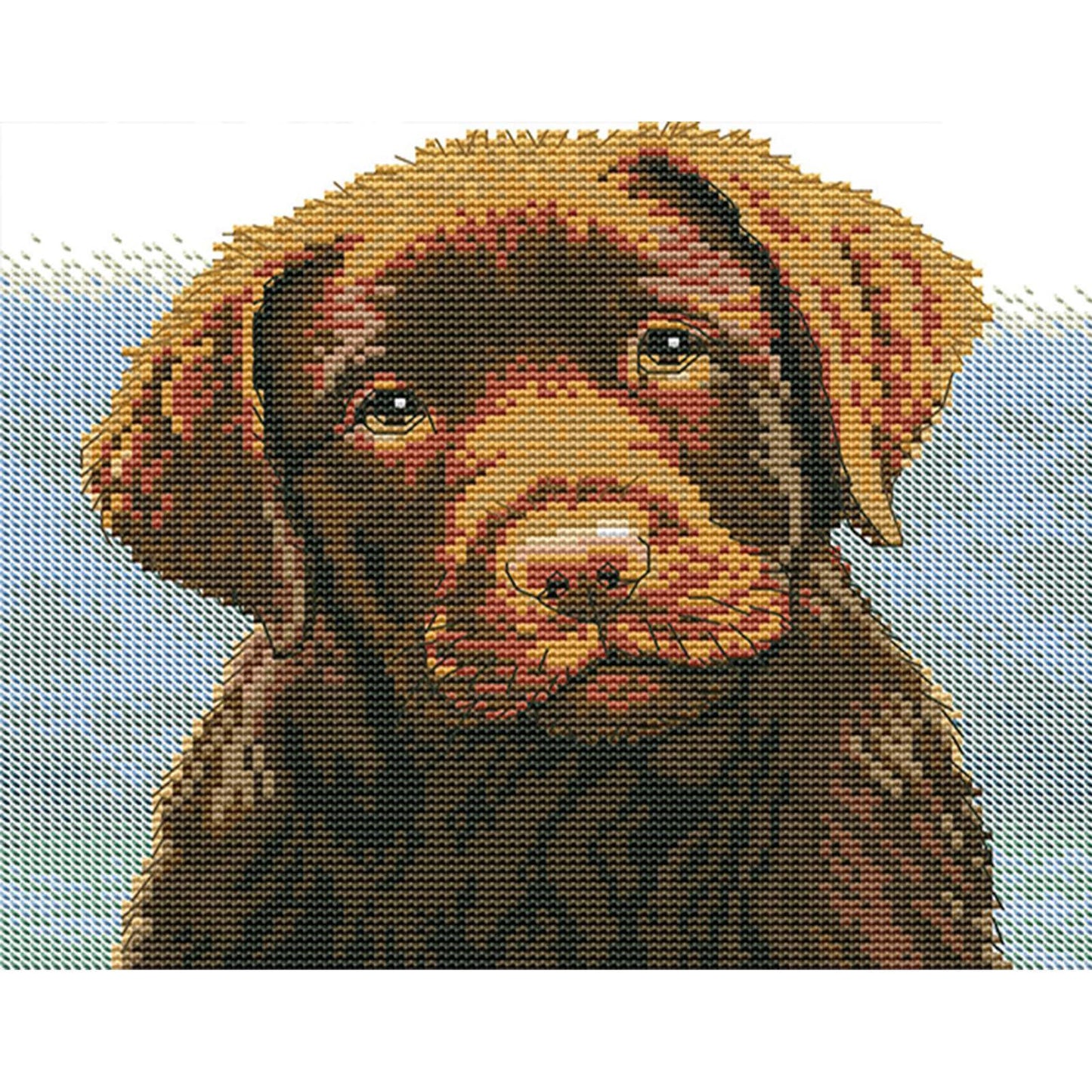 Are You Alright - 14CT Stamped Cross Stitch 27*22CM(Joy Sunday)