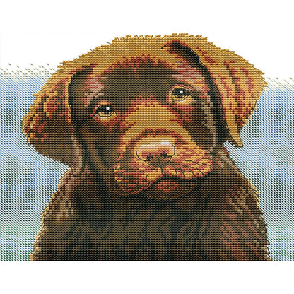Are You Alright - 14CT Stamped Cross Stitch 27*22CM(Joy Sunday)