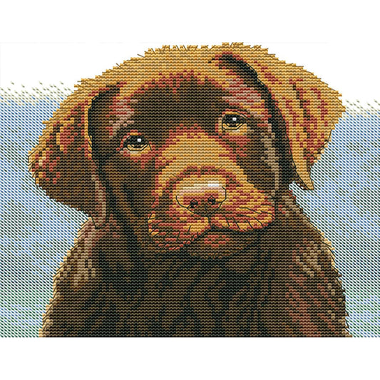 Are You Alright - 14CT Stamped Cross Stitch 27*22CM(Joy Sunday)
