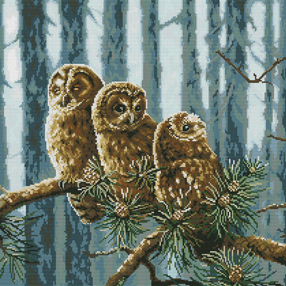 A Family Of Owls - 14CT Stamped Cross Stitch 46*46CM (Joy Sunday)