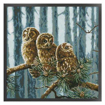 A Family Of Owls - 14CT Stamped Cross Stitch 46*46CM (Joy Sunday)