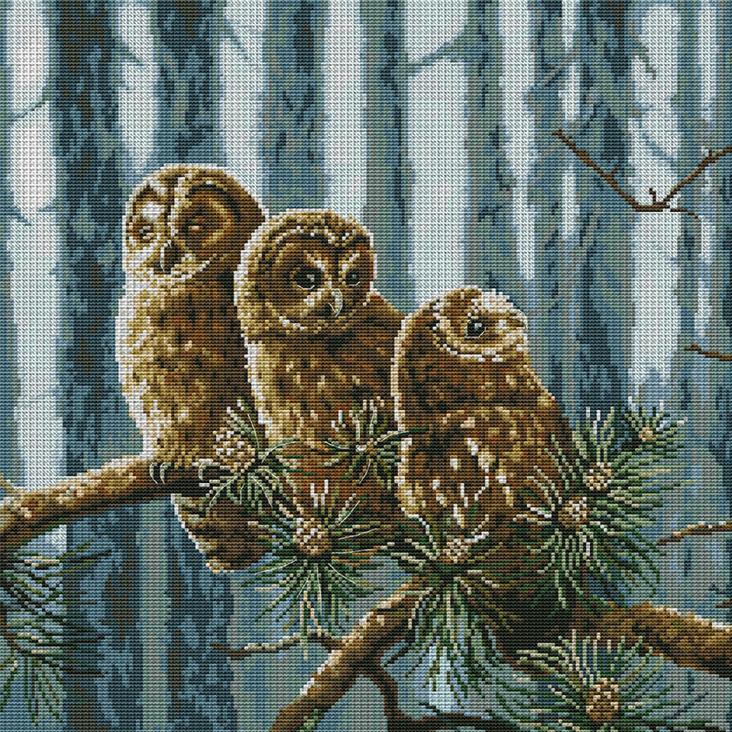 A Family Of Owls - 14CT Stamped Cross Stitch 46*46CM (Joy Sunday)