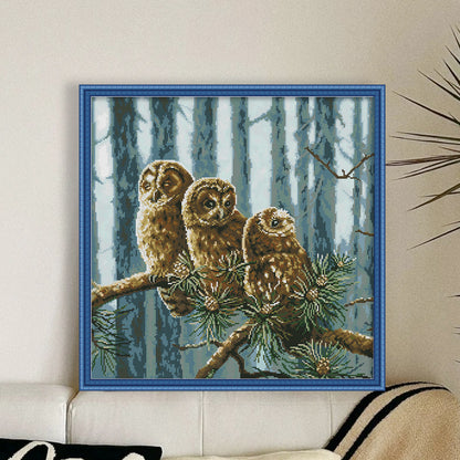 A Family Of Owls - 14CT Stamped Cross Stitch 46*46CM (Joy Sunday)