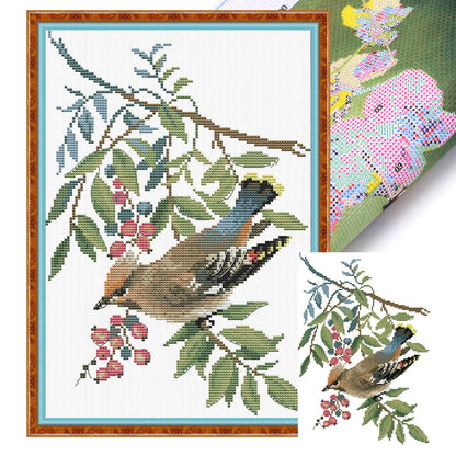 Red Plum And Tit - 14CT Stamped Cross Stitch 23*34CM (Joy Sunday)