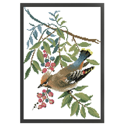 Red Plum And Tit - 14CT Stamped Cross Stitch 23*34CM (Joy Sunday)