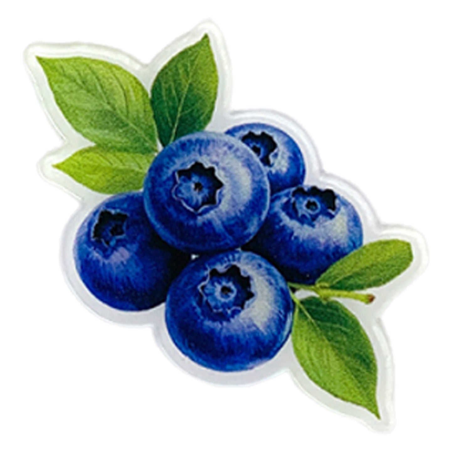 Fruit Magnetic Acrylic Needle Minder for Cross Stitch Embroidery Sewing Needle