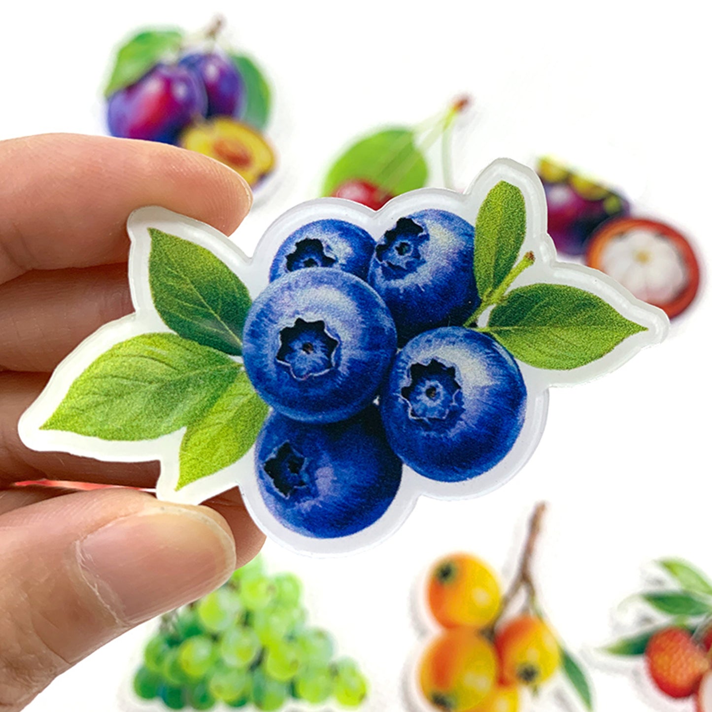 Fruit Magnetic Acrylic Needle Minder for Cross Stitch Embroidery Sewing Needle