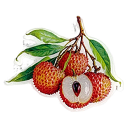 Fruit Magnetic Acrylic Needle Minder for Cross Stitch Embroidery Sewing Needle