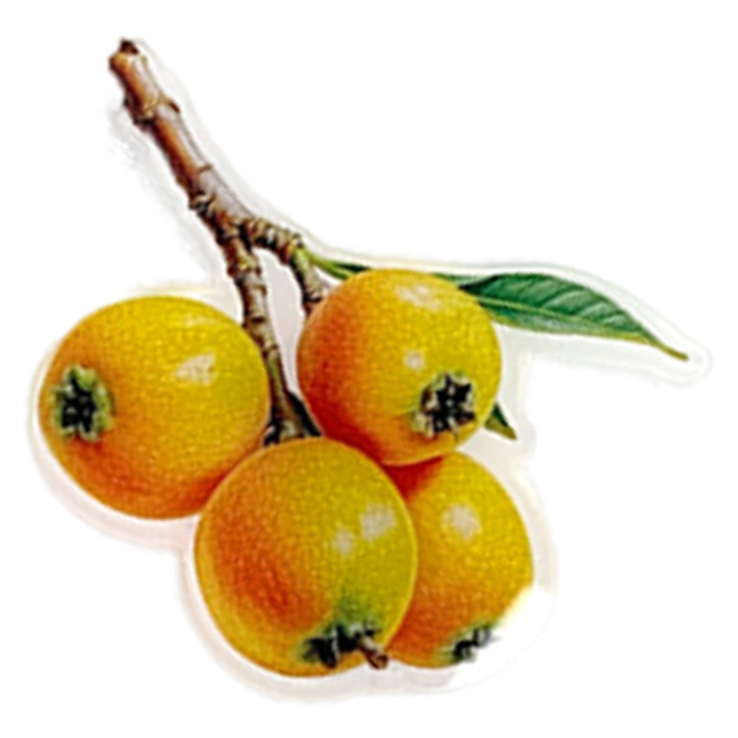 Fruit Magnetic Acrylic Needle Minder for Cross Stitch Embroidery Sewing Needle