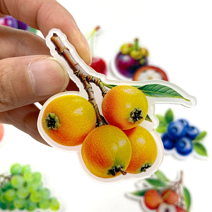 Fruit Magnetic Acrylic Needle Minder for Cross Stitch Embroidery Sewing Needle