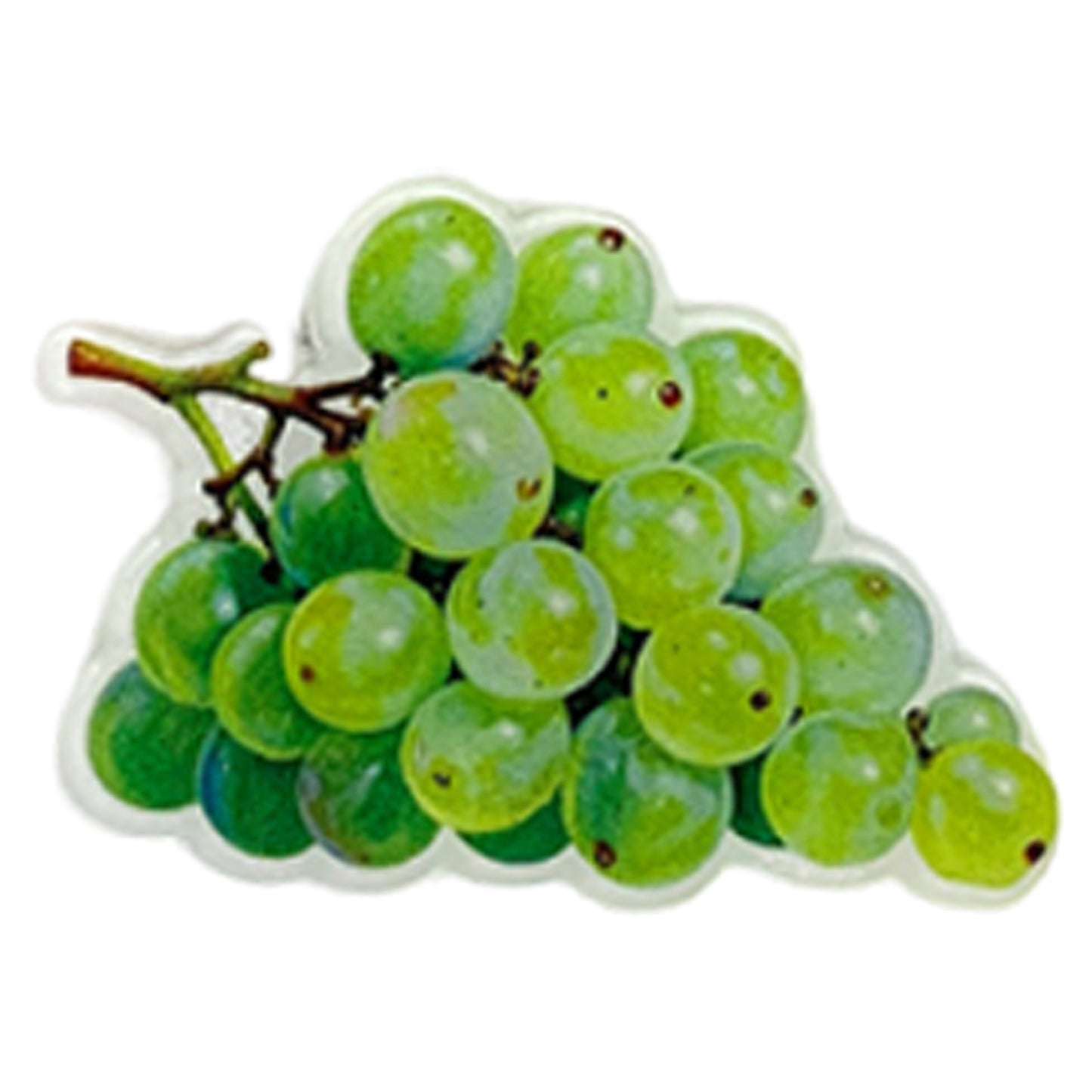 Fruit Magnetic Acrylic Needle Minder for Cross Stitch Embroidery Sewing Needle