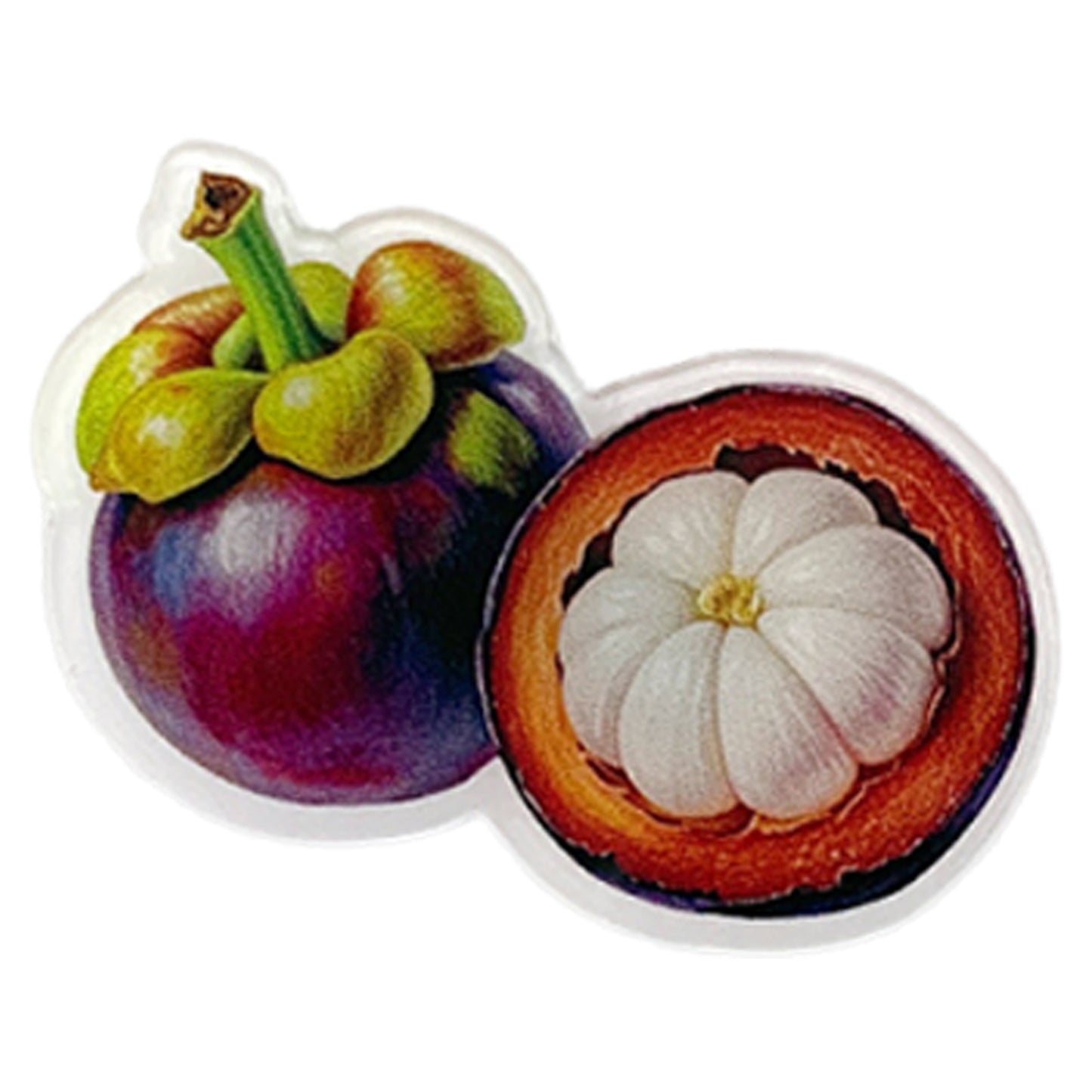 Fruit Magnetic Acrylic Needle Minder for Cross Stitch Embroidery Sewing Needle