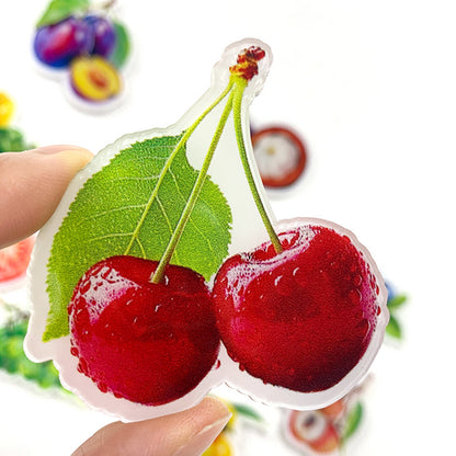 Fruit Magnetic Acrylic Needle Minder for Cross Stitch Embroidery Sewing Needle