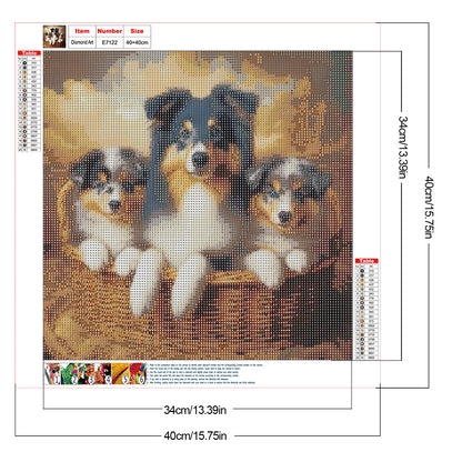 Dog - Full Round Drill Diamond Painting 40*40CM