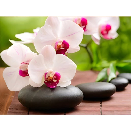 Phalaenopsis Orchid - Full Round Drill Diamond Painting 40*30CM