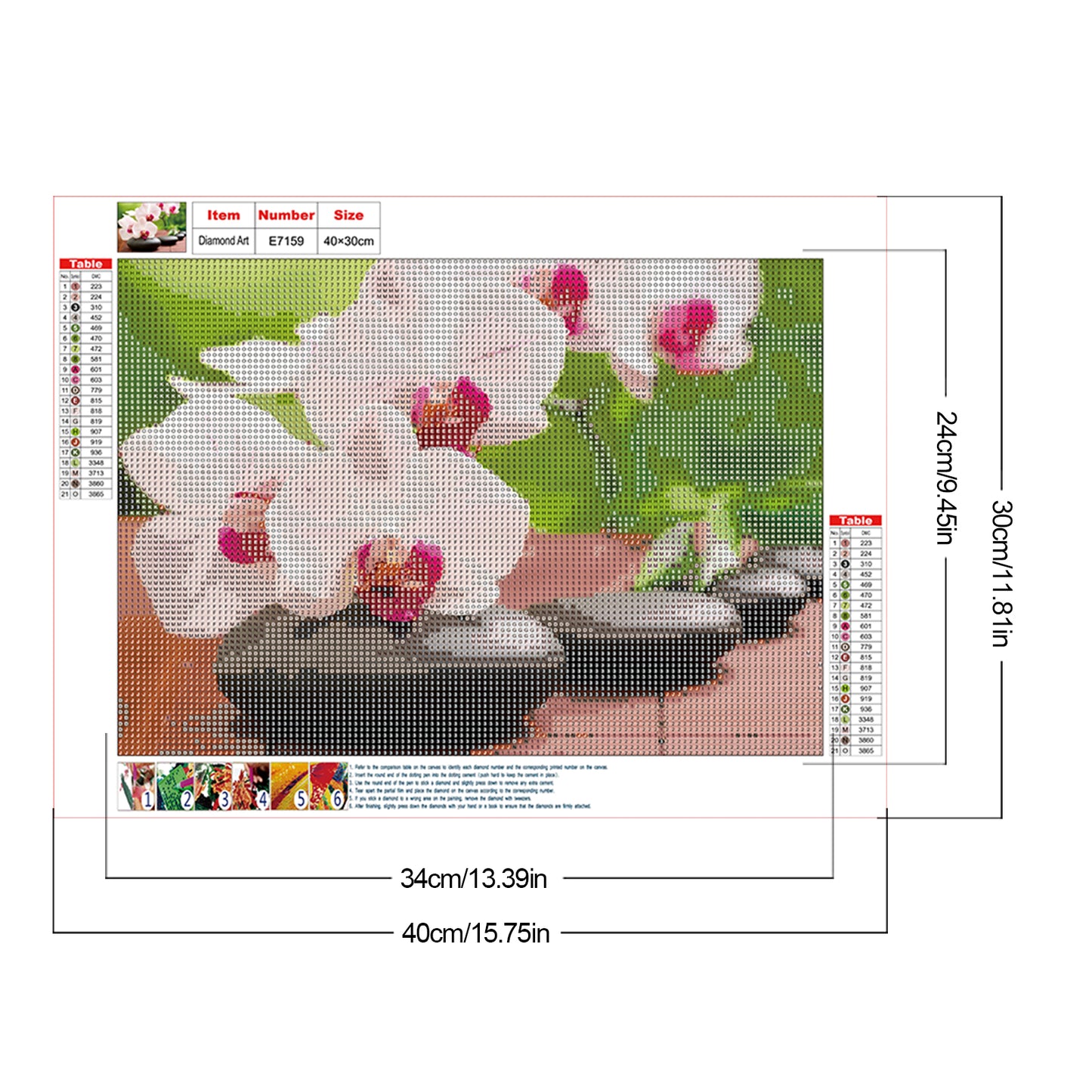 Phalaenopsis Orchid - Full Round Drill Diamond Painting 40*30CM