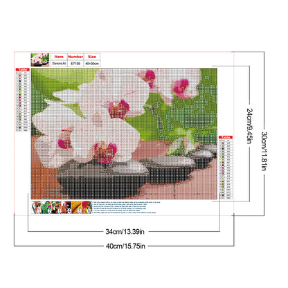 Phalaenopsis Orchid - Full Round Drill Diamond Painting 40*30CM